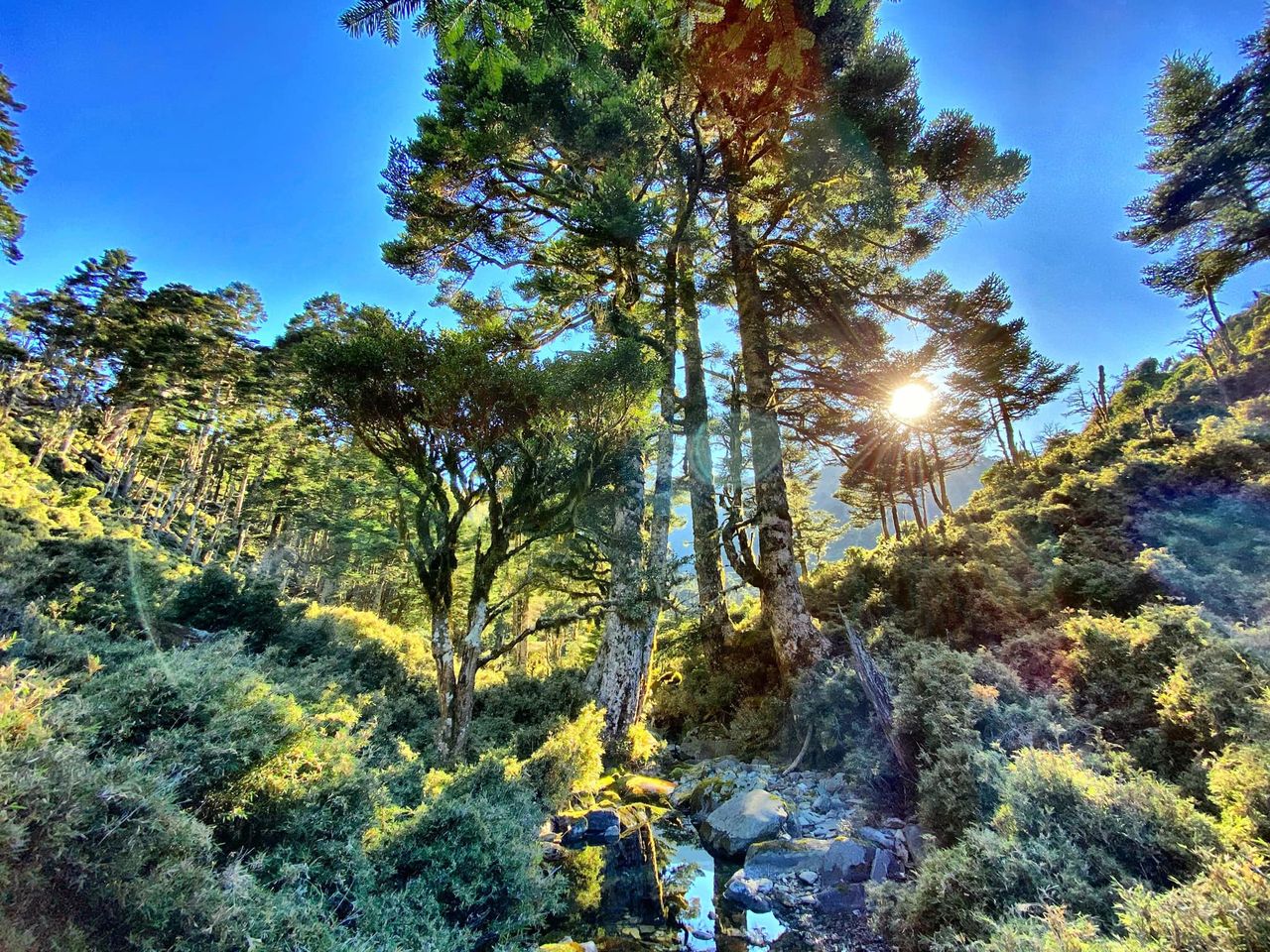 爬山初心者的奇幻旅程 9天8夜全戶外登山嚮導新訓 上 羌虎跨域生活